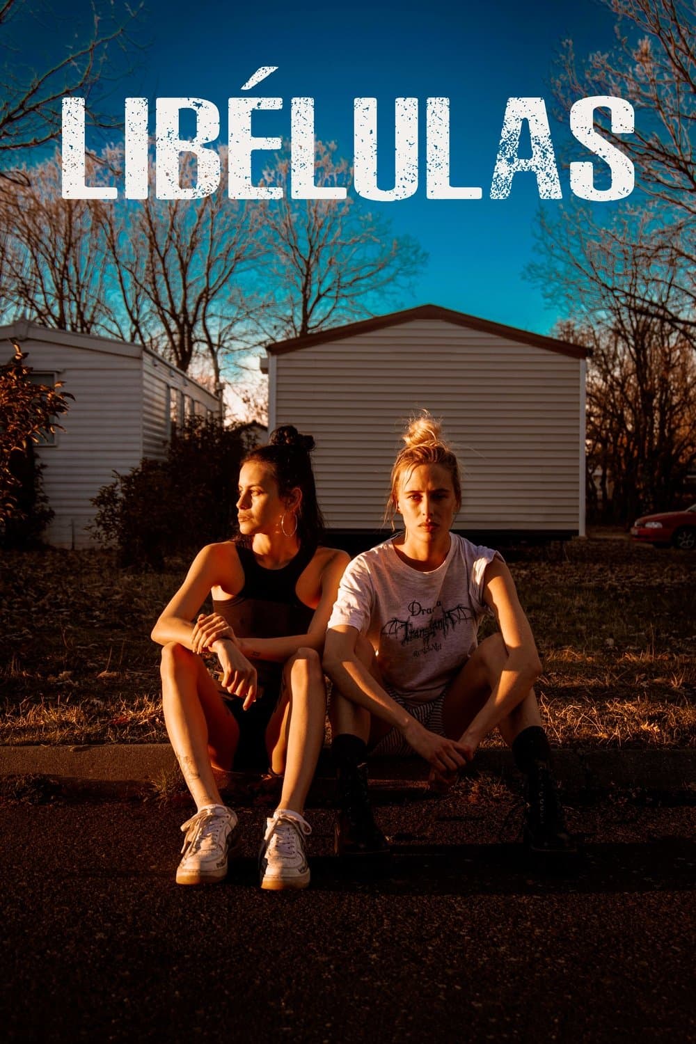 Dragonflies full movie