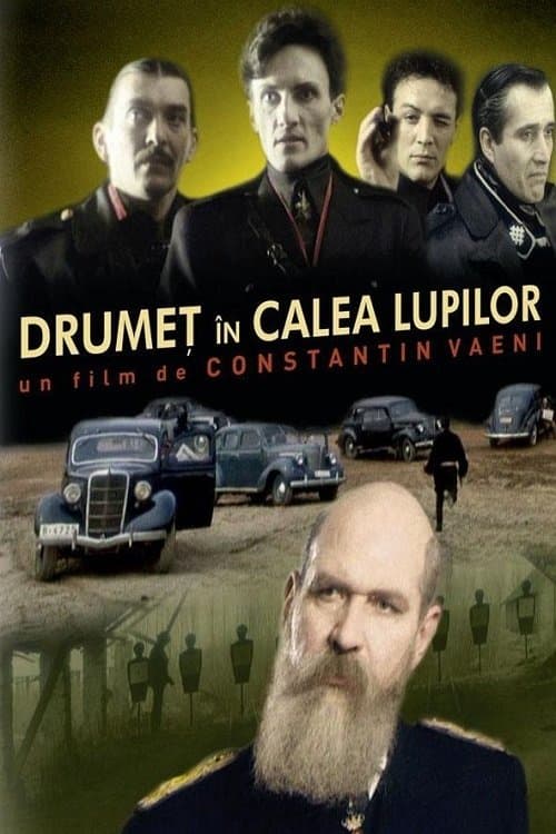 Drumeț în calea lupilor full movie