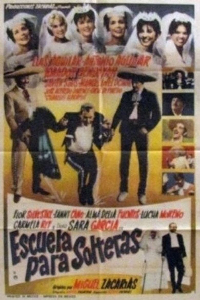 Escuela para solteras full movie