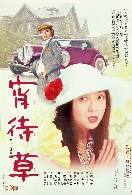 Evening Primrose full movie
