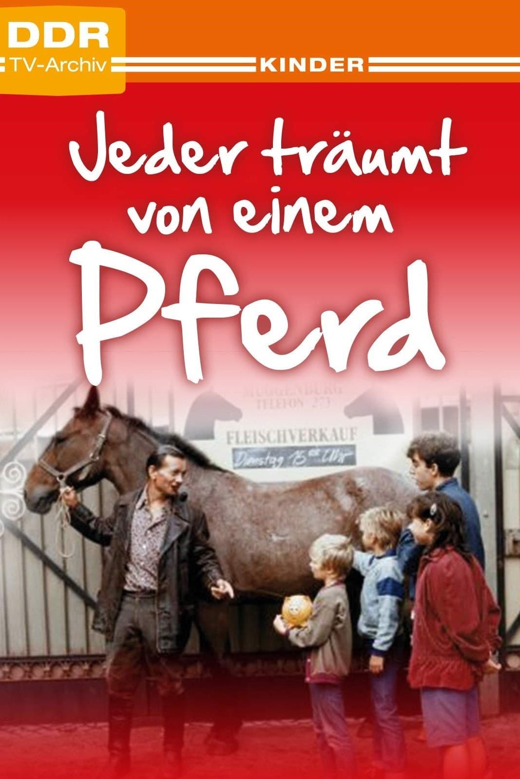 Everyone Dreams of a Horse full movie