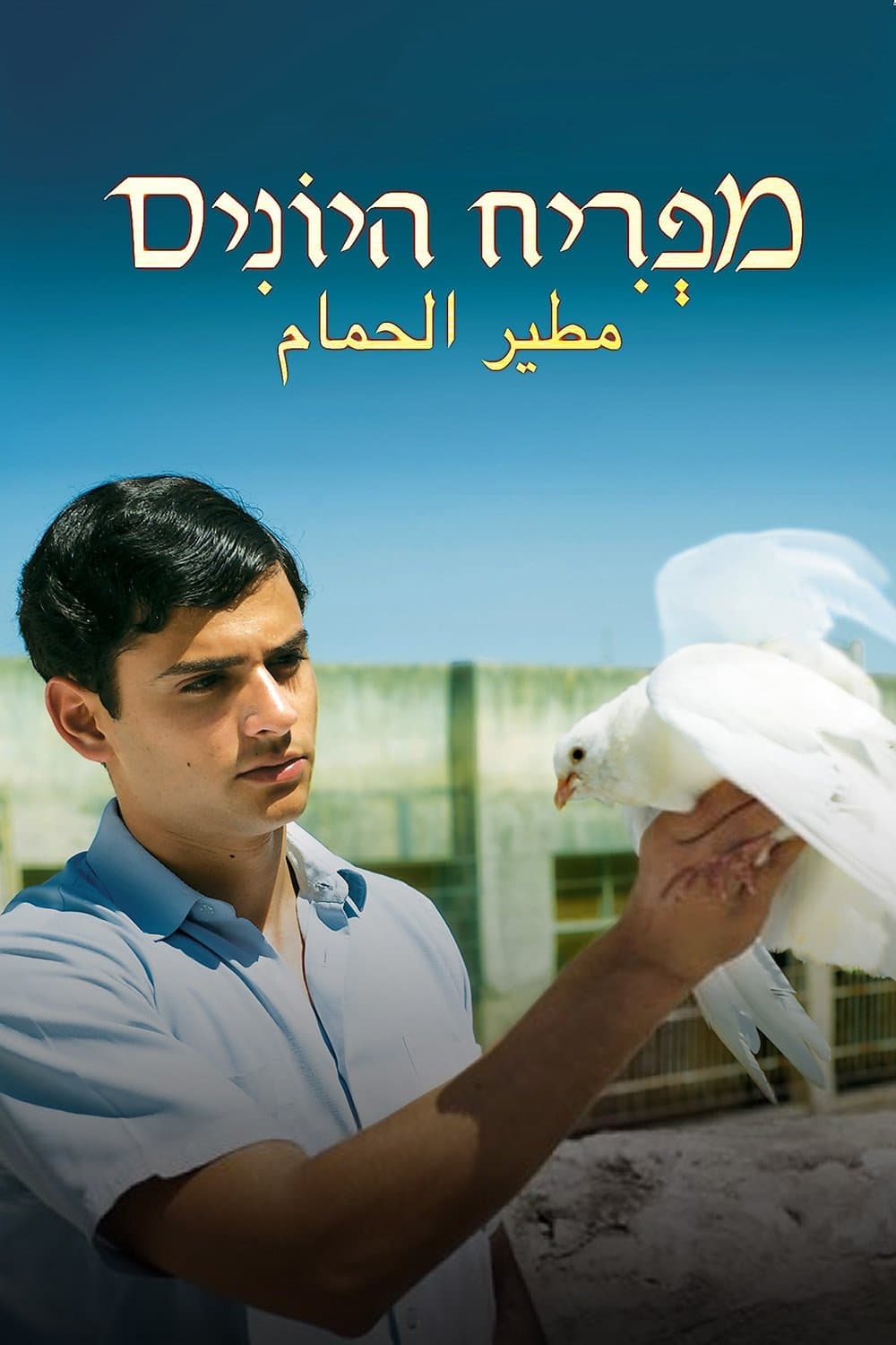 Farewell Baghdad full movie