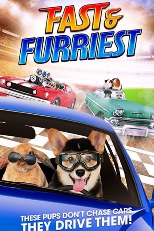 Fast and Furriest full movie