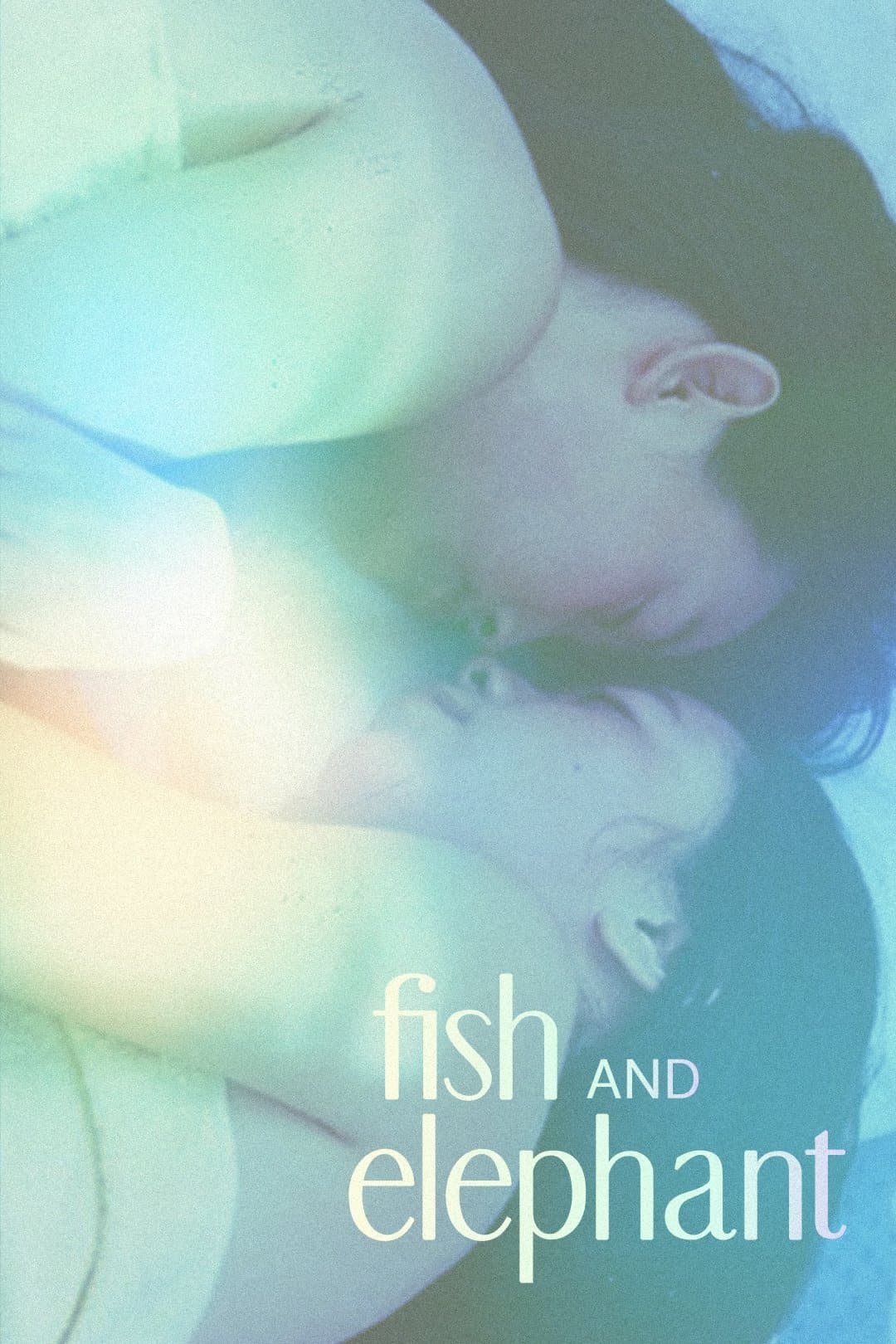 Fish and Elephant full movie