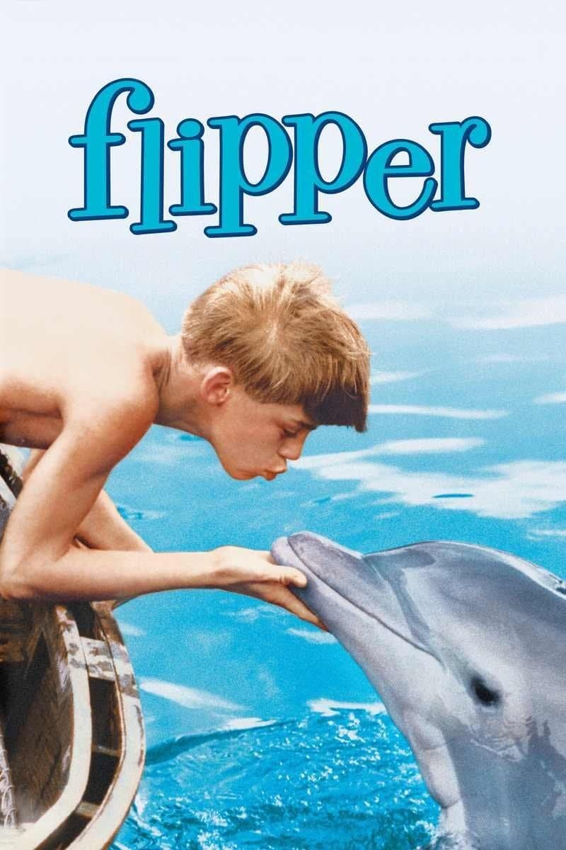 Flipper full movie