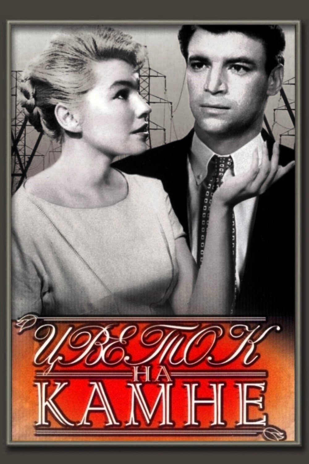Flower on the Stone full movie