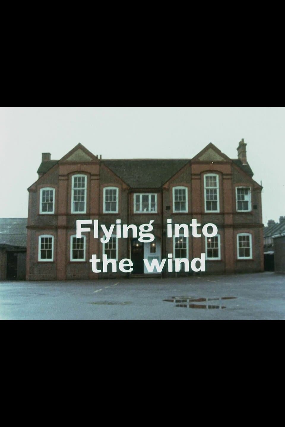 Flying Into the Wind full movie