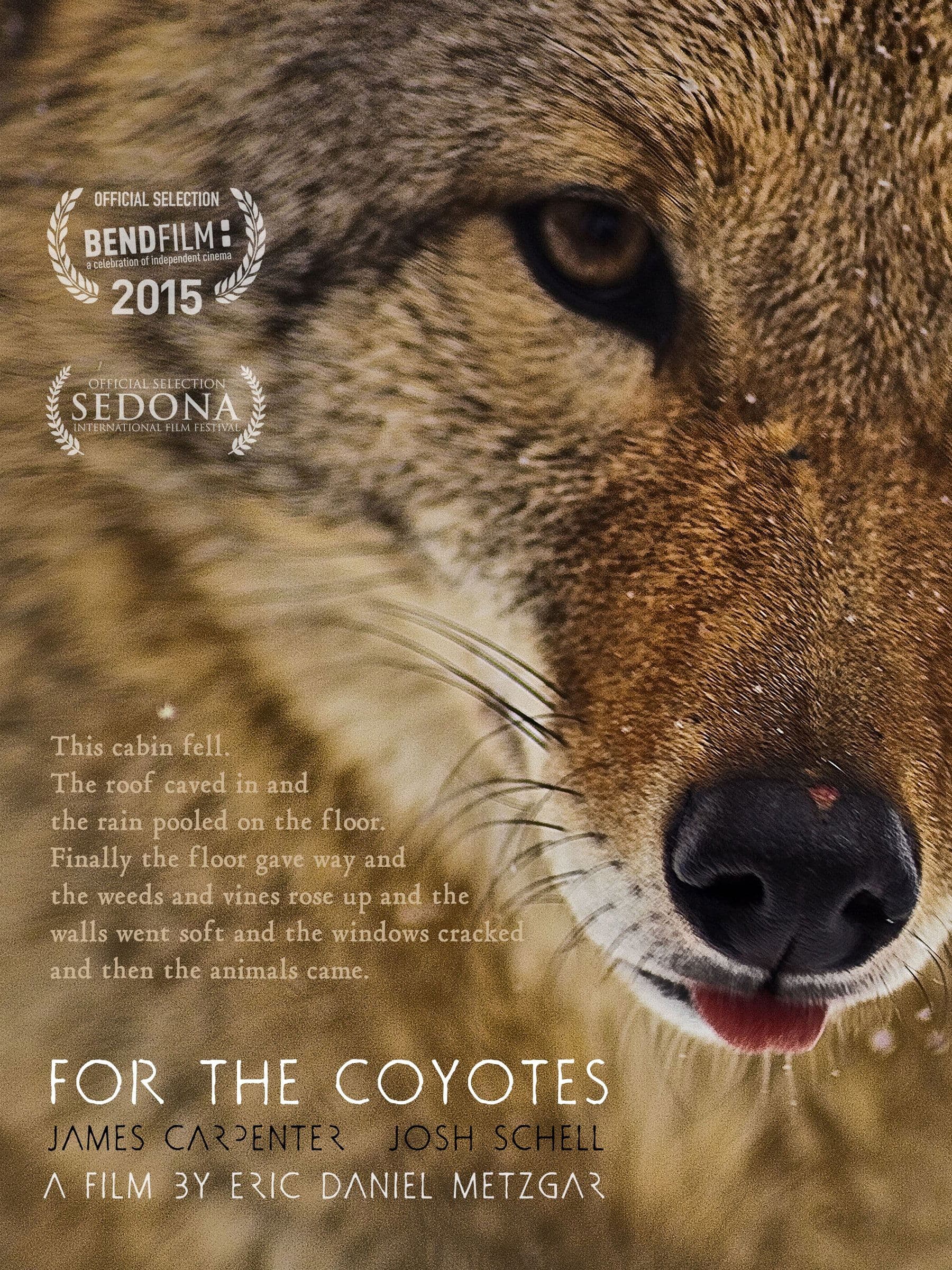 For the Coyotes full movie