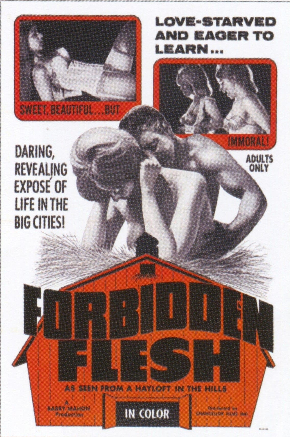 Forbidden Flesh full movie