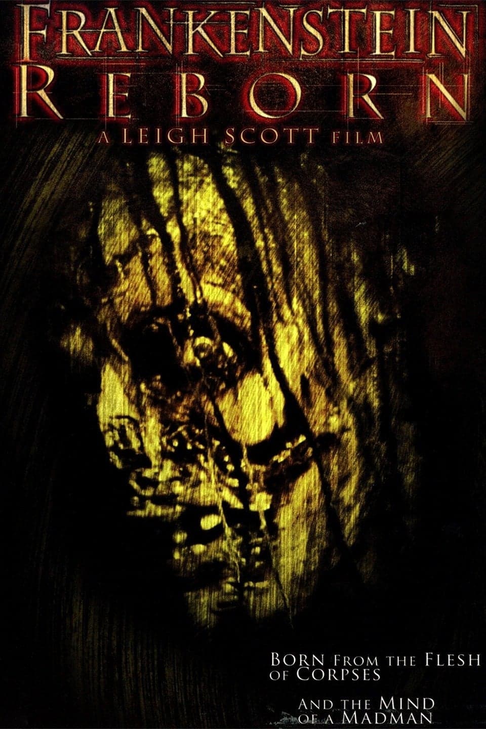 Frankenstein Reborn full movie