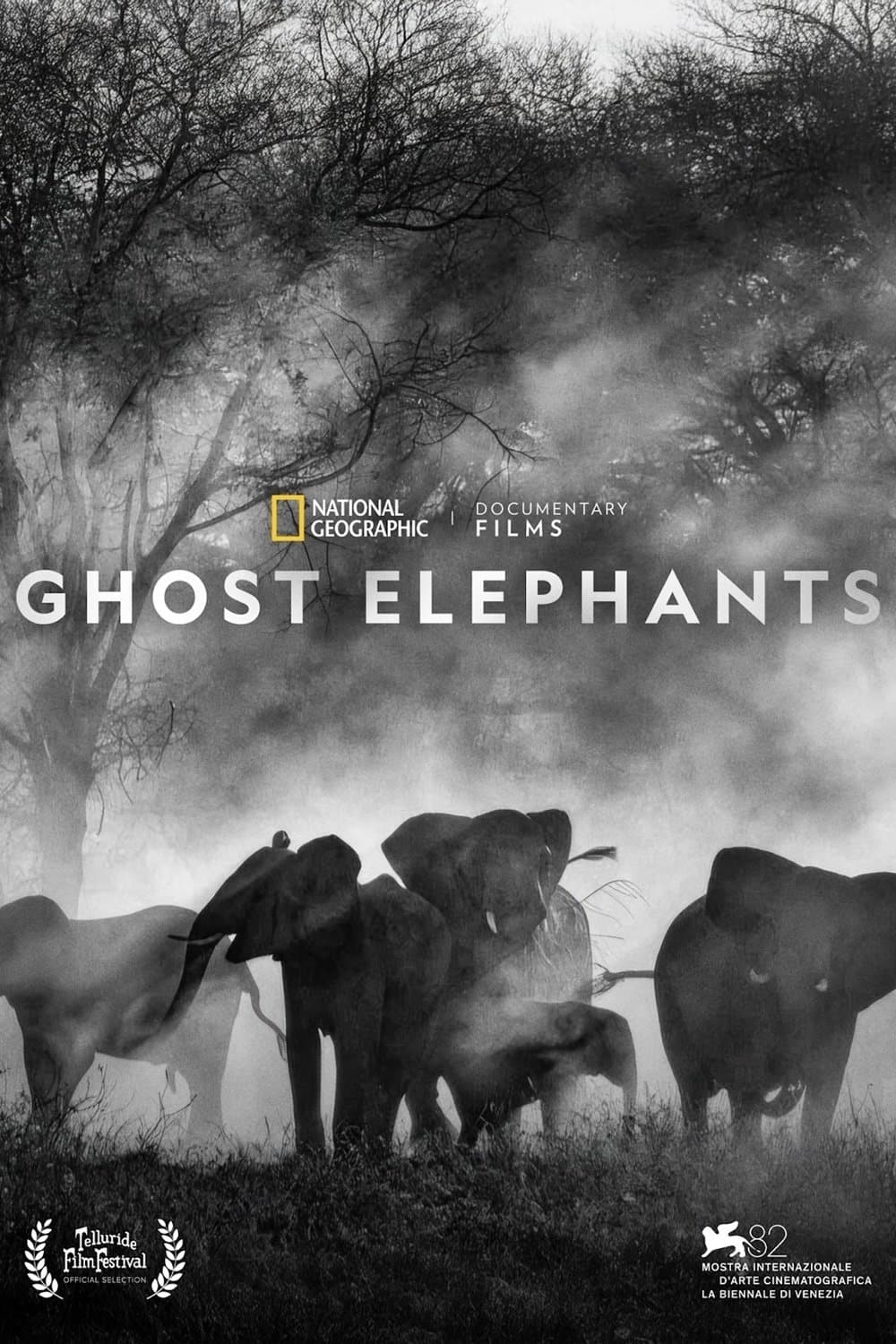 Ghost Elephants full movie