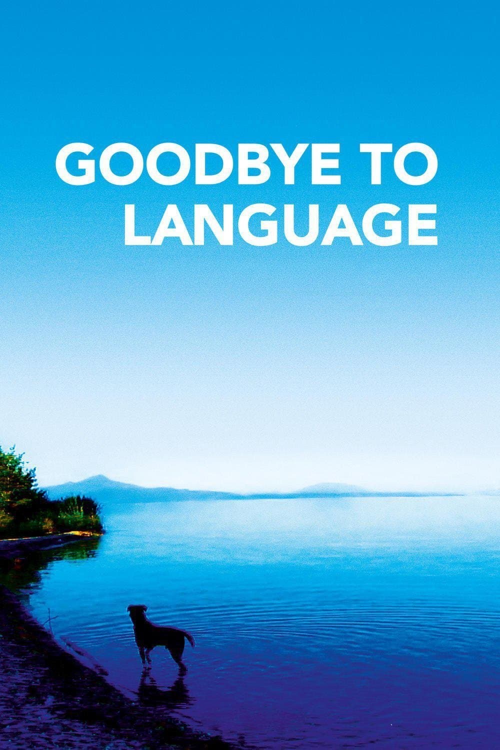 Goodbye to Language full movie