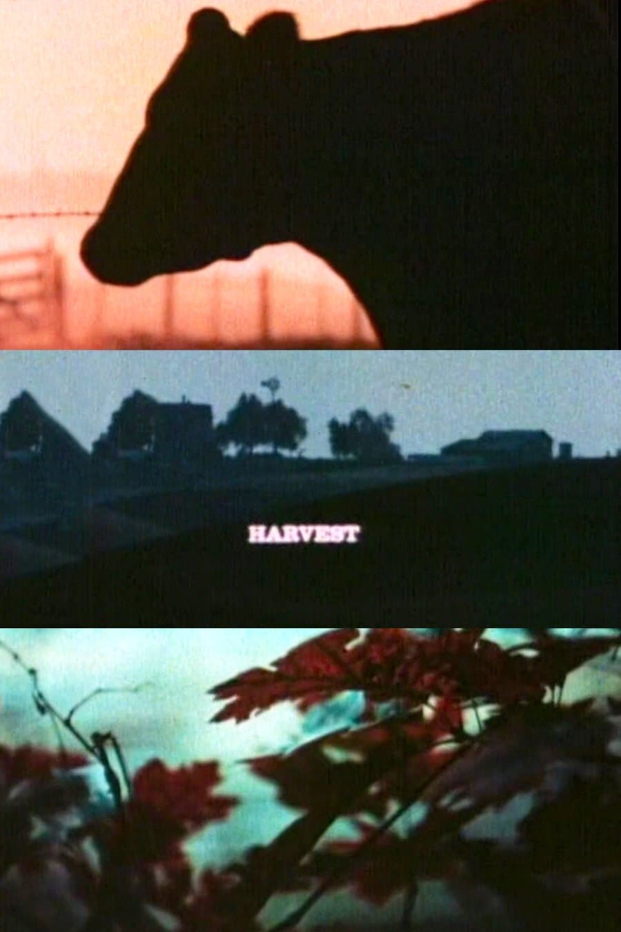 Harvest full movie