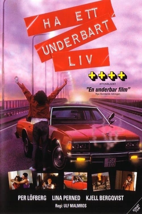 Have a Wonderful Life full movie