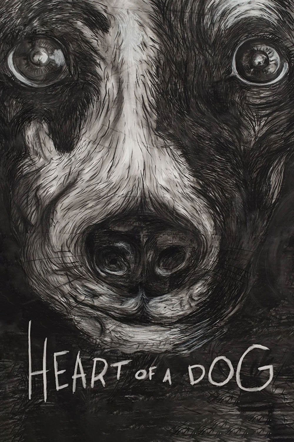 Heart of a Dog full movie