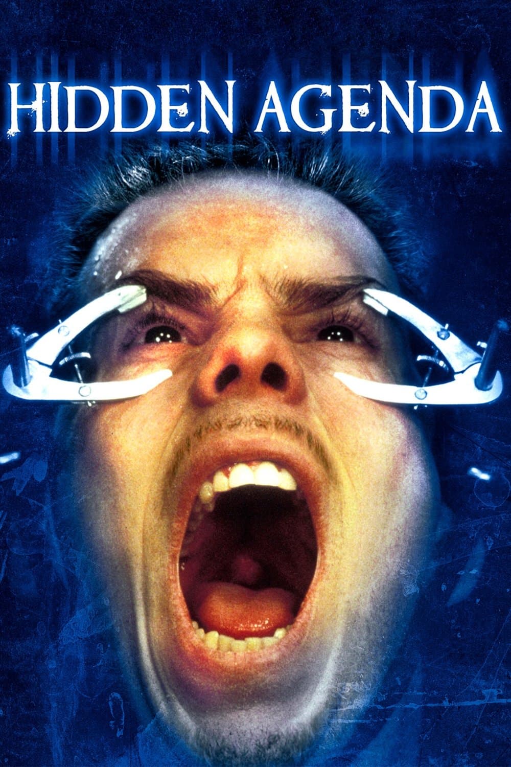 Hidden Agenda full movie