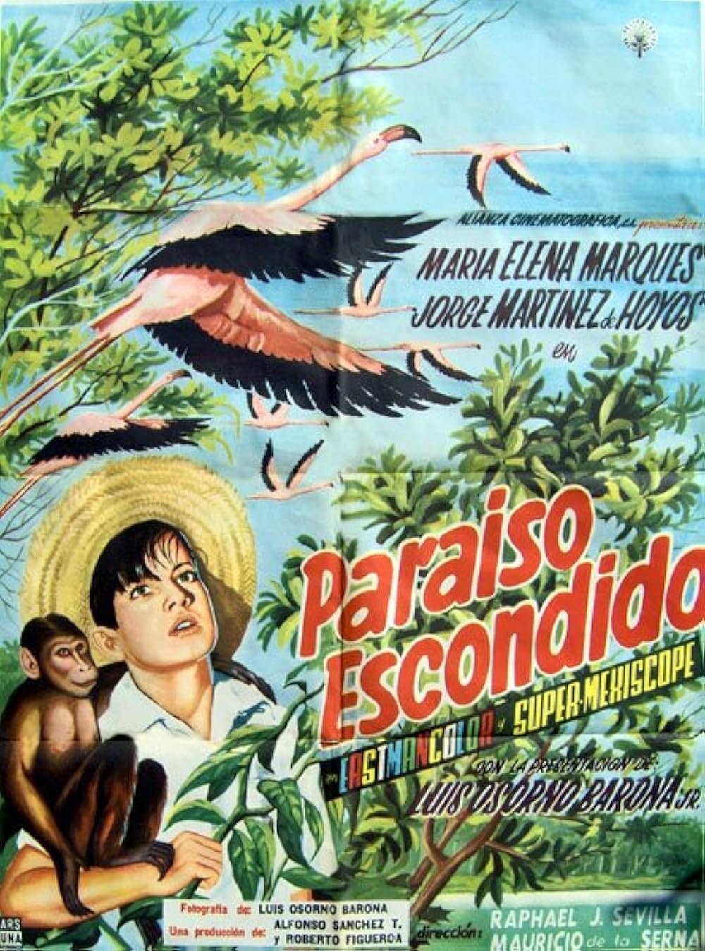 Hidden Paradise full movie