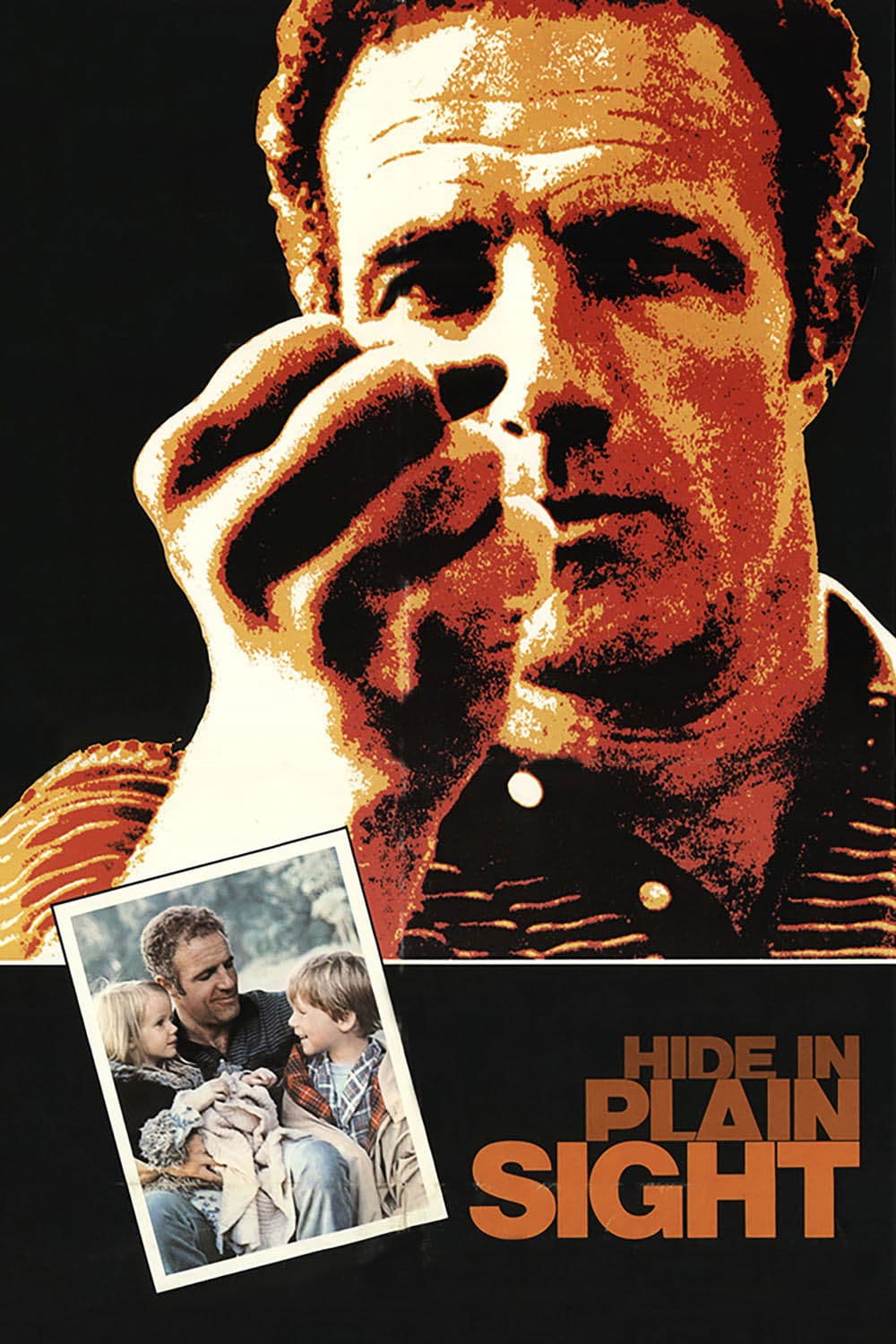 Hide in Plain Sight full movie