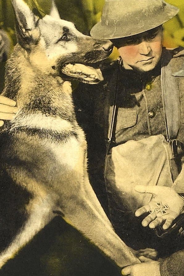 His Master's Voice full movie