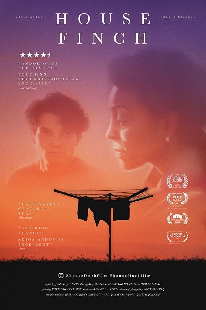 House Finch full movie