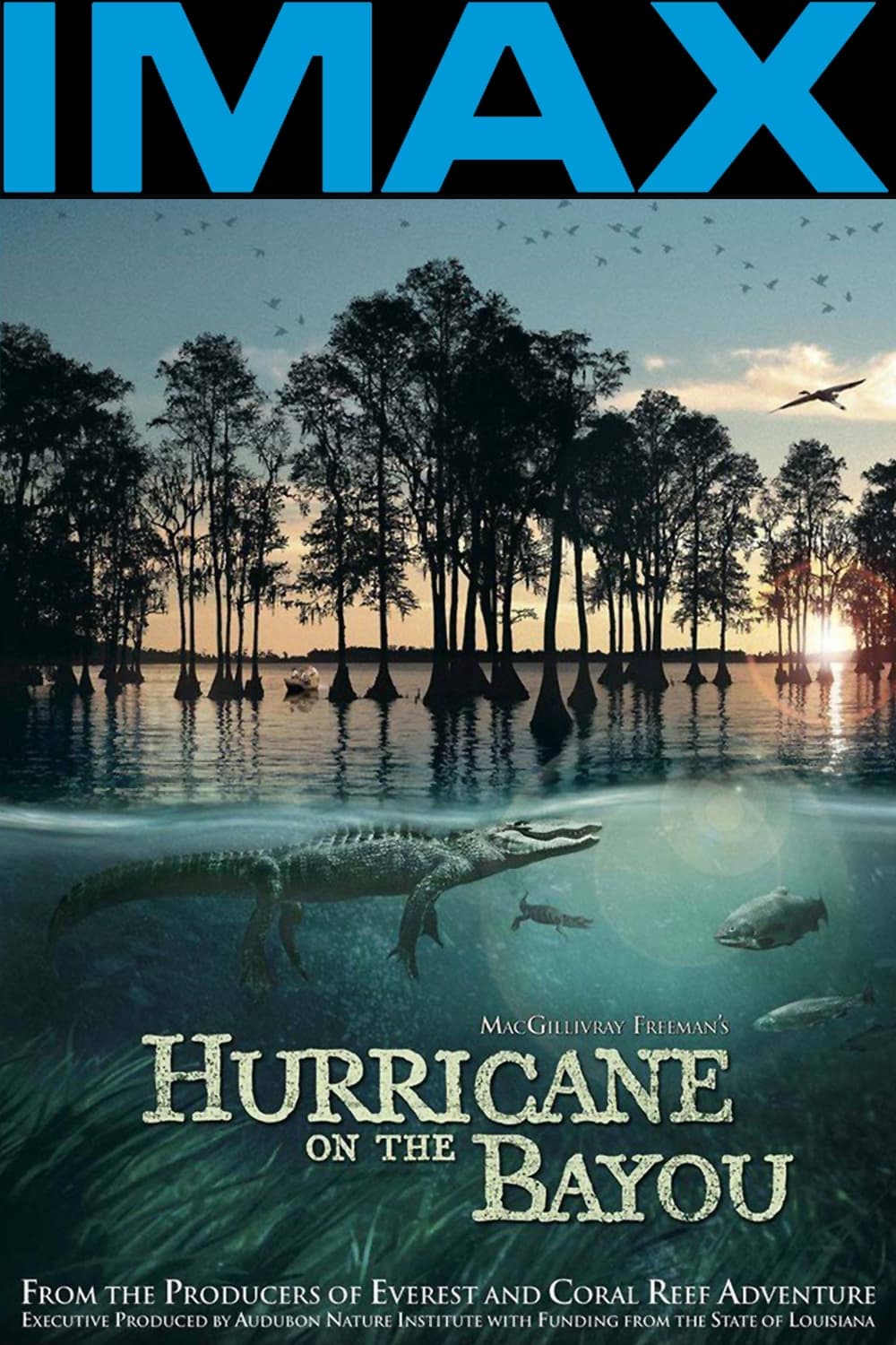 Hurricane on the Bayou full movie