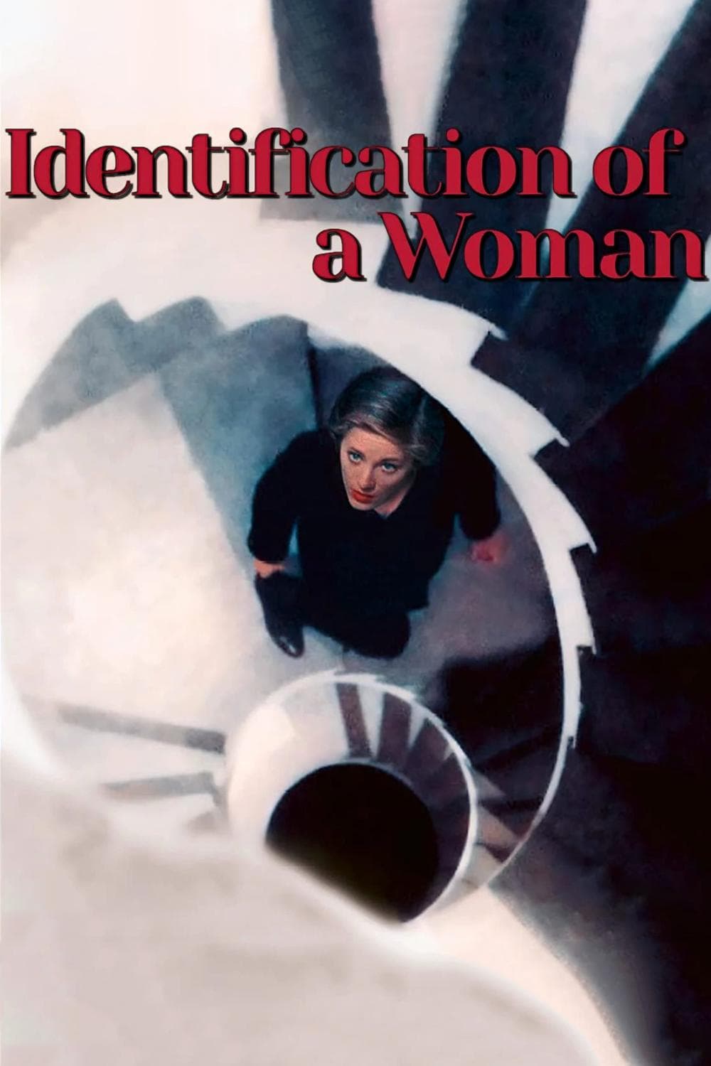 Identification of a Woman full movie
