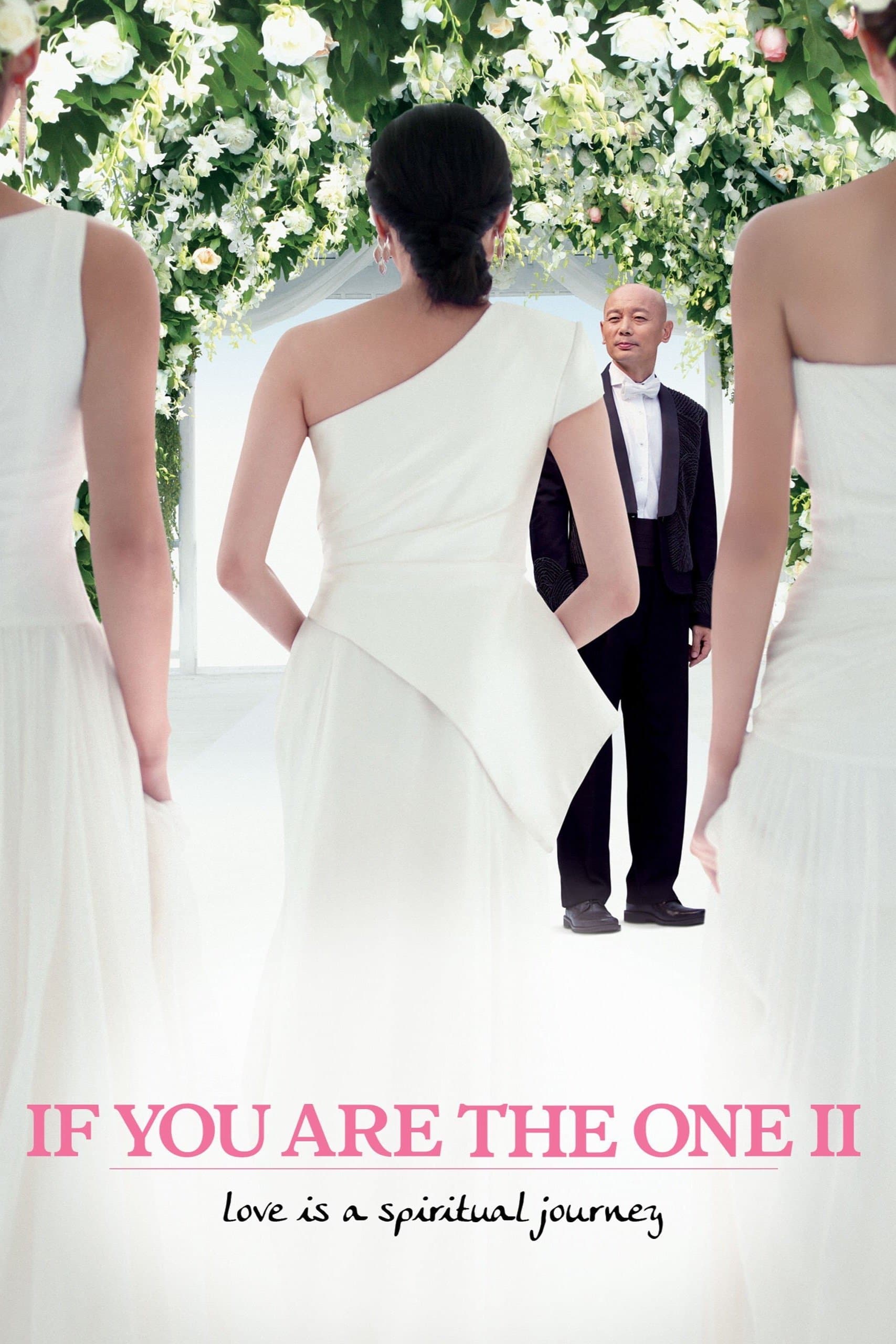 If You Are the One 2 full movie
