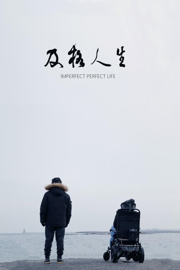 Imperfect Perfect Life full movie
