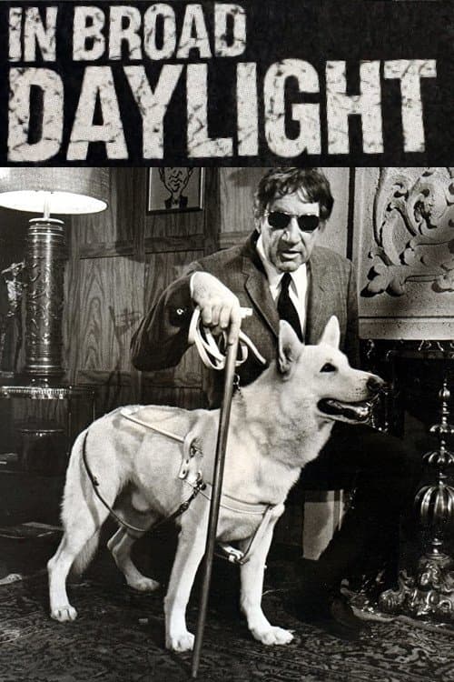 In Broad Daylight full movie