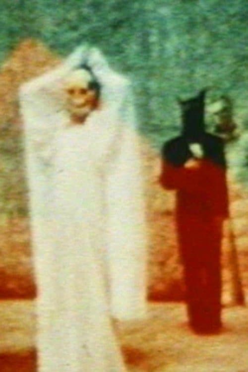 In the Shadow of the Sun full movie