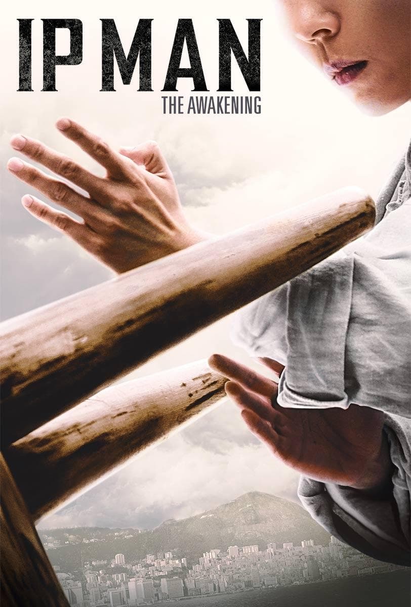 Ip Man: The Awakening full movie