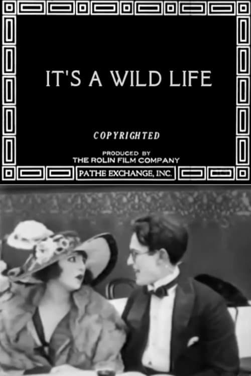It's a Wild Life full movie