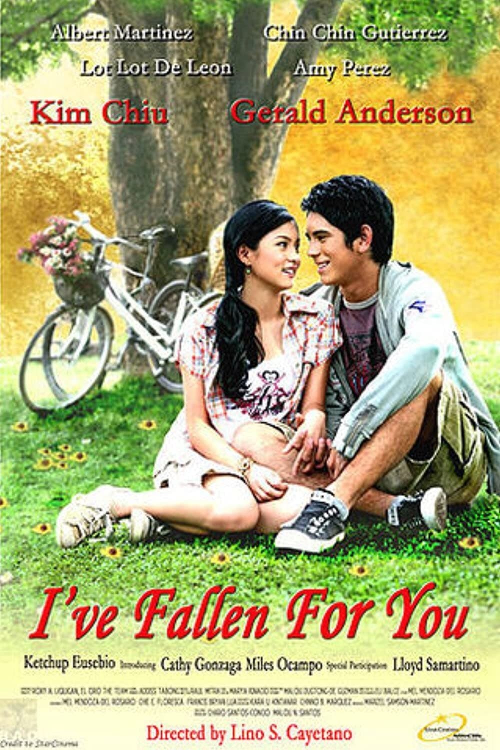 I've Fallen for You full movie