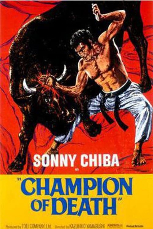 Karate Bullfighter full movie