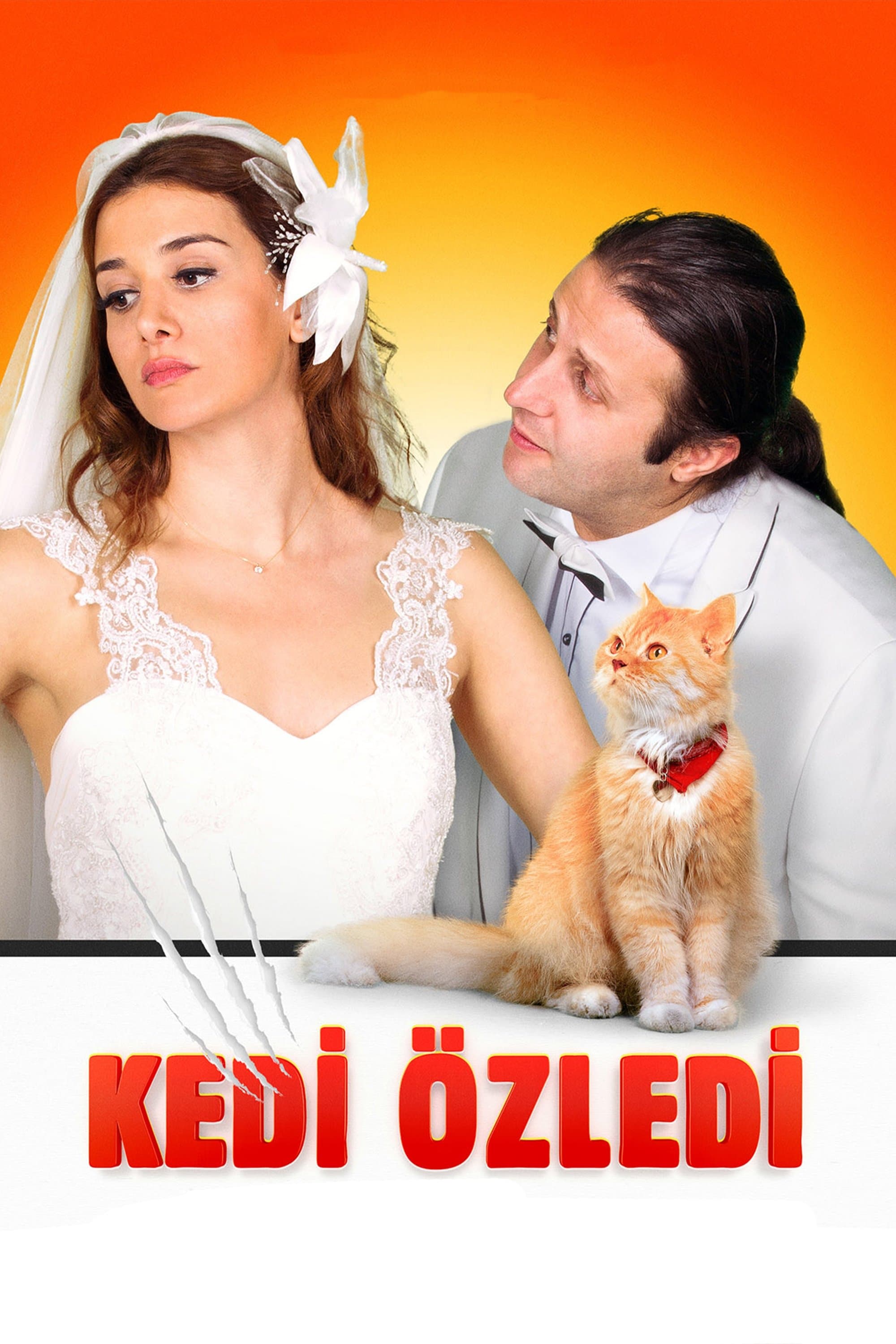 Kedi Özledi full movie