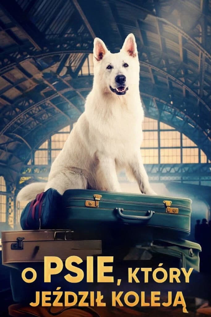 Lampo, the Travelling Dog full movie
