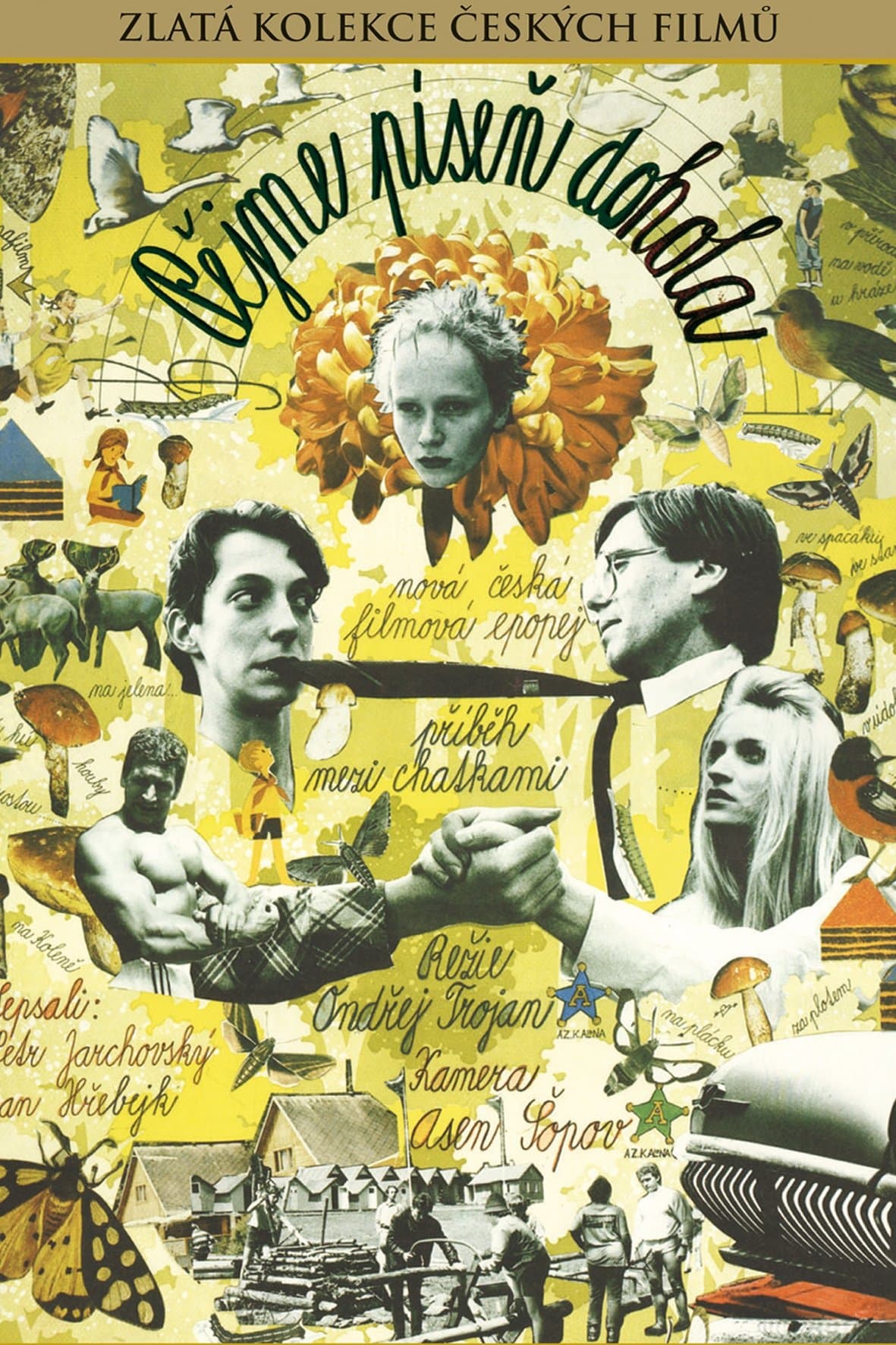 Let's All Sing Around full movie