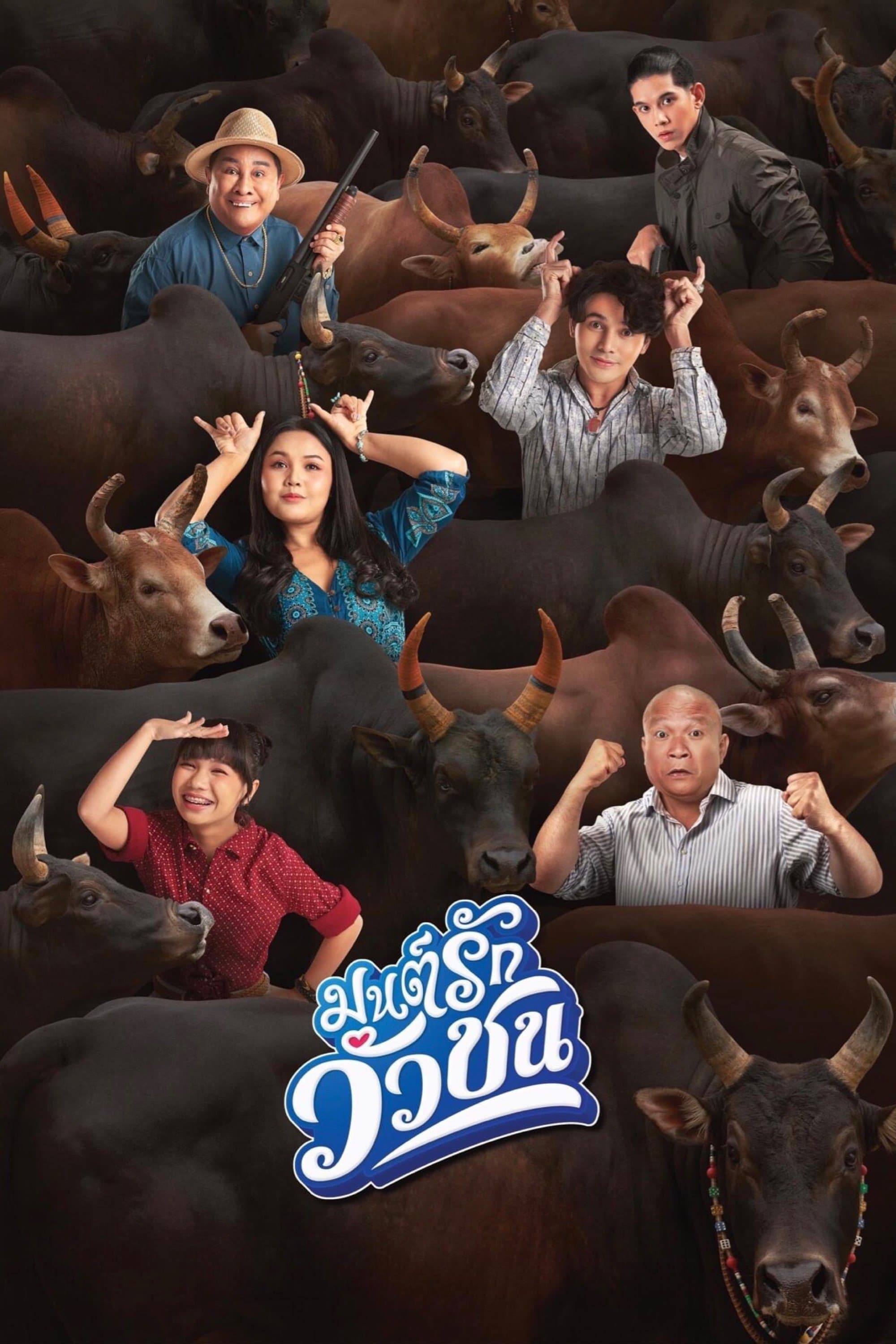 Love Battle vs Bullfighting full movie