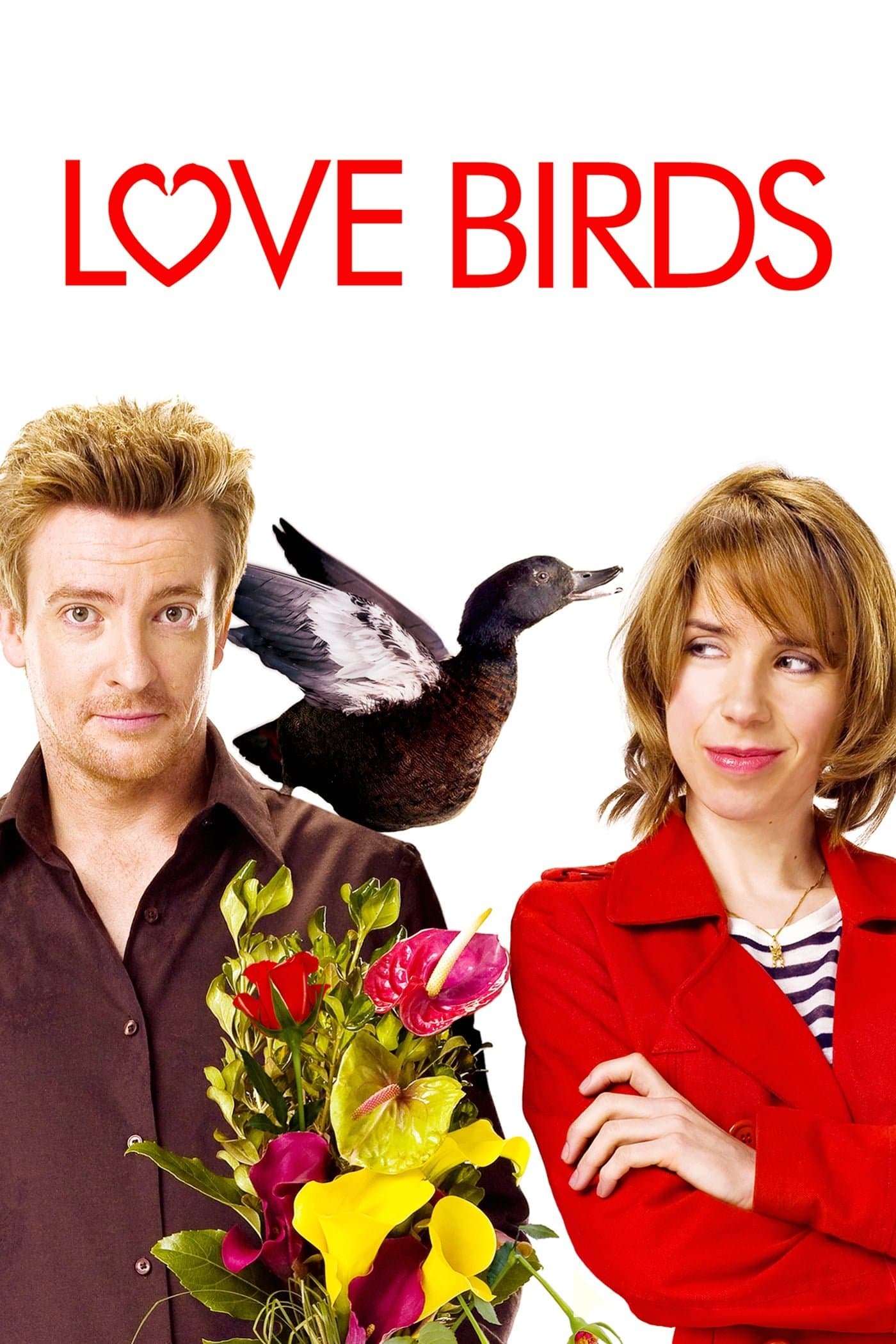 Love Birds full movie