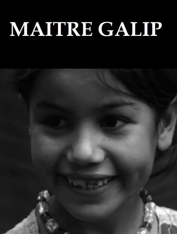 Maître Galip full movie