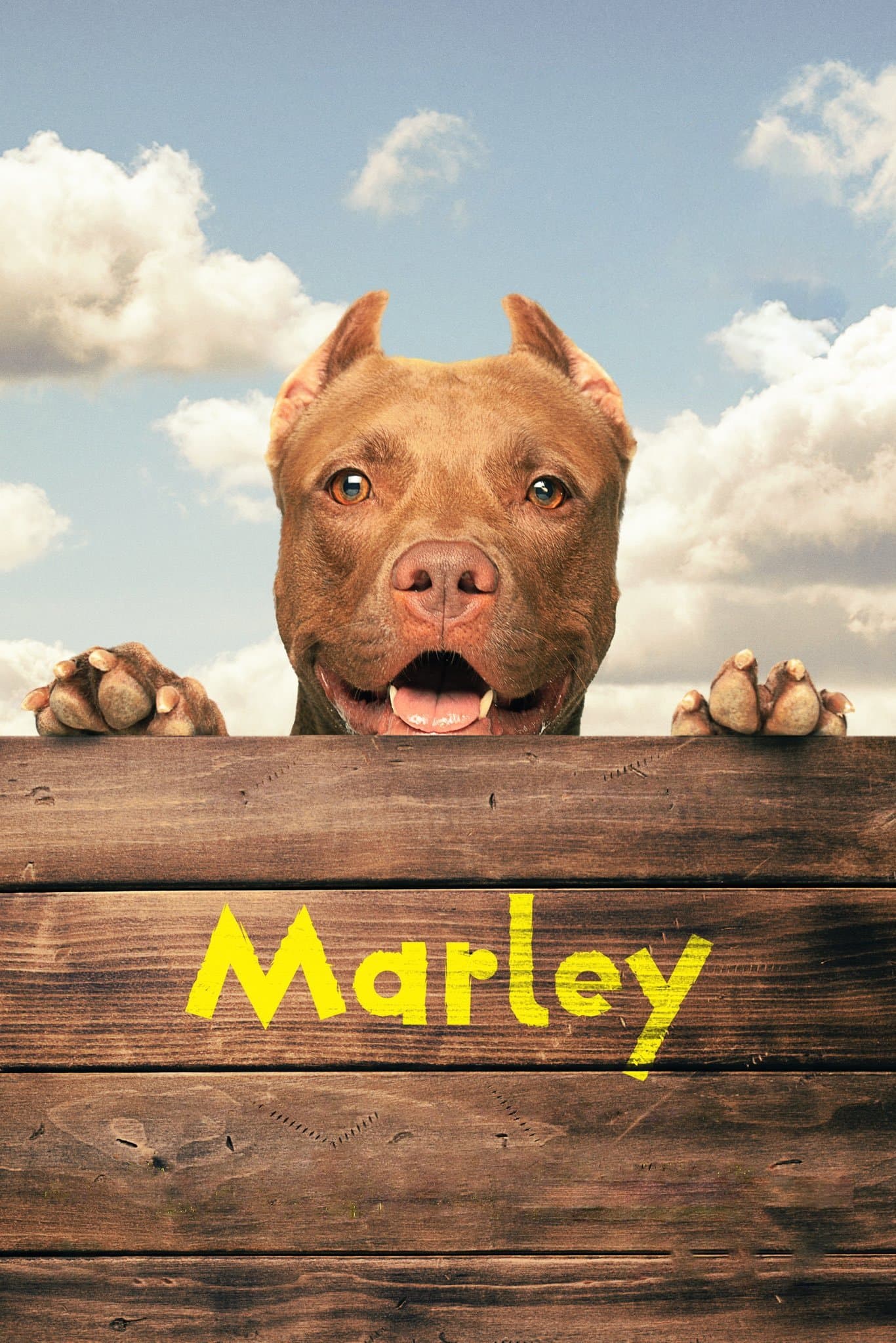 Marley full movie