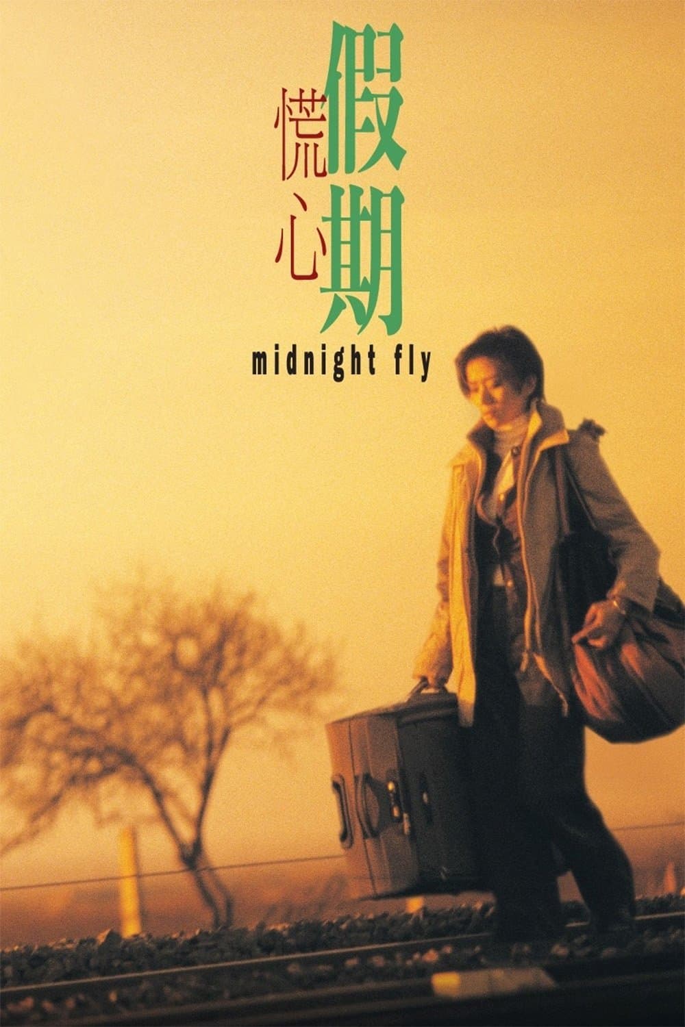 Midnight Fly full movie