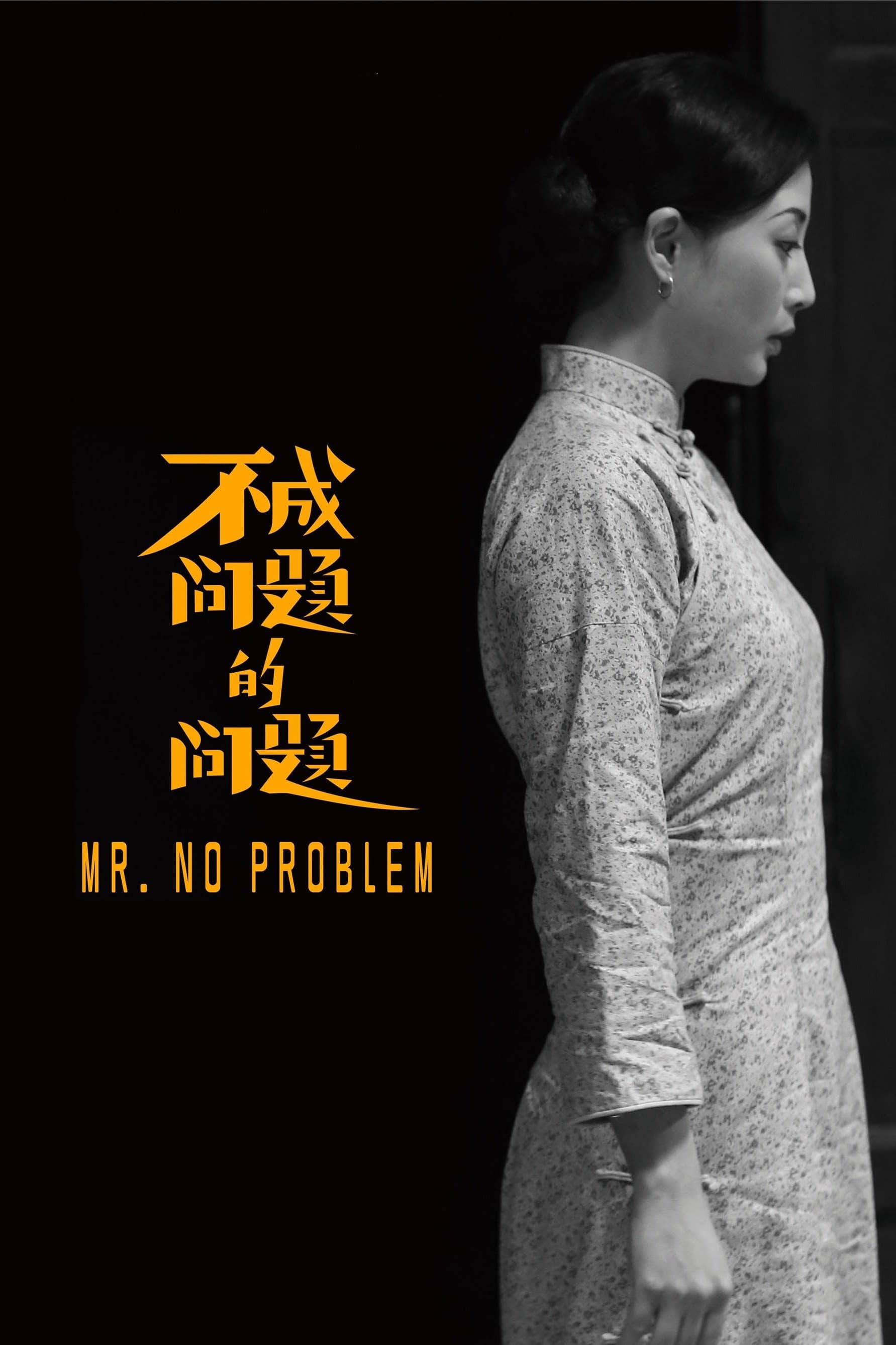 Mr. No Problem full movie