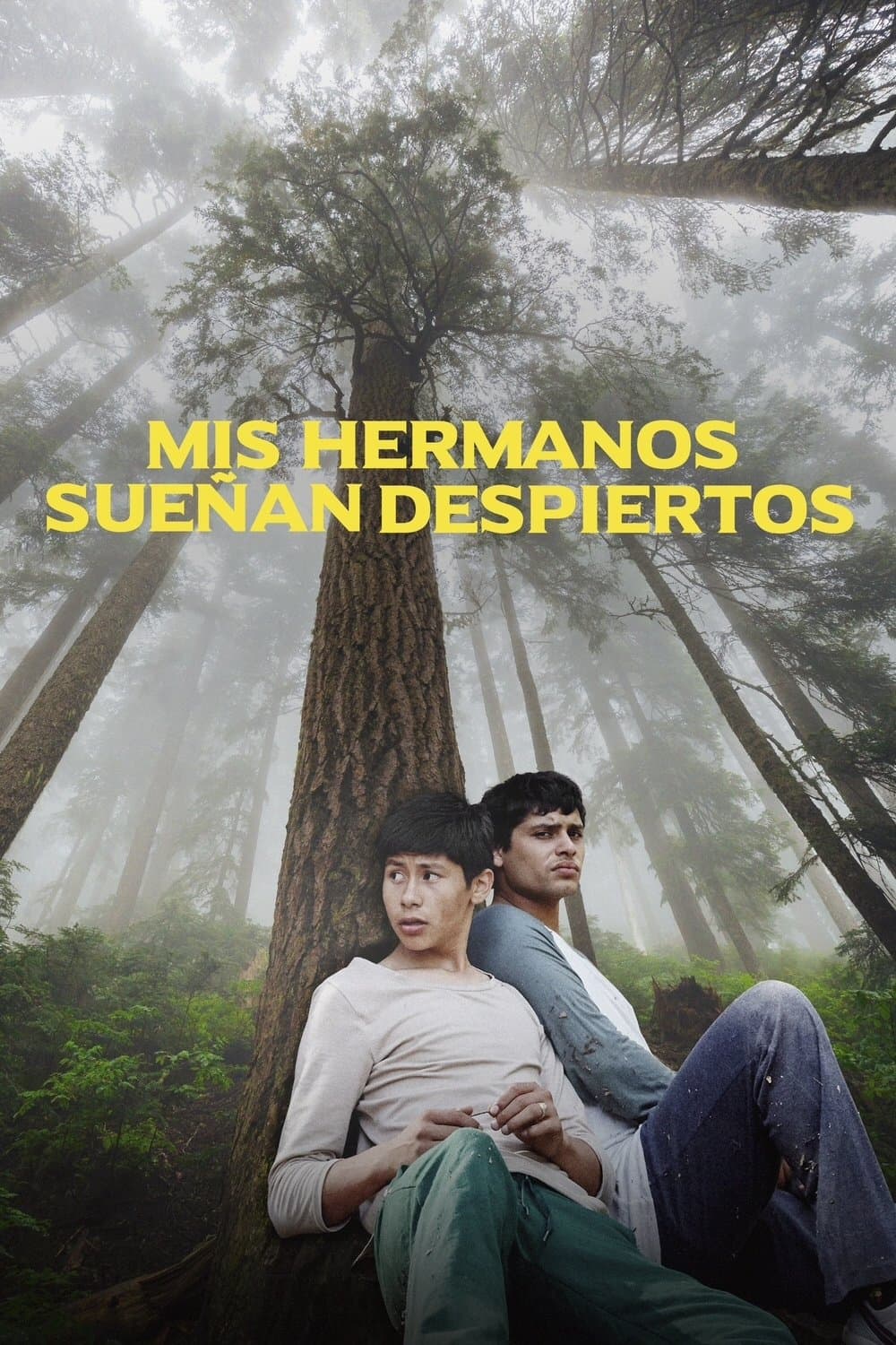 My Brothers Dream Awake full movie