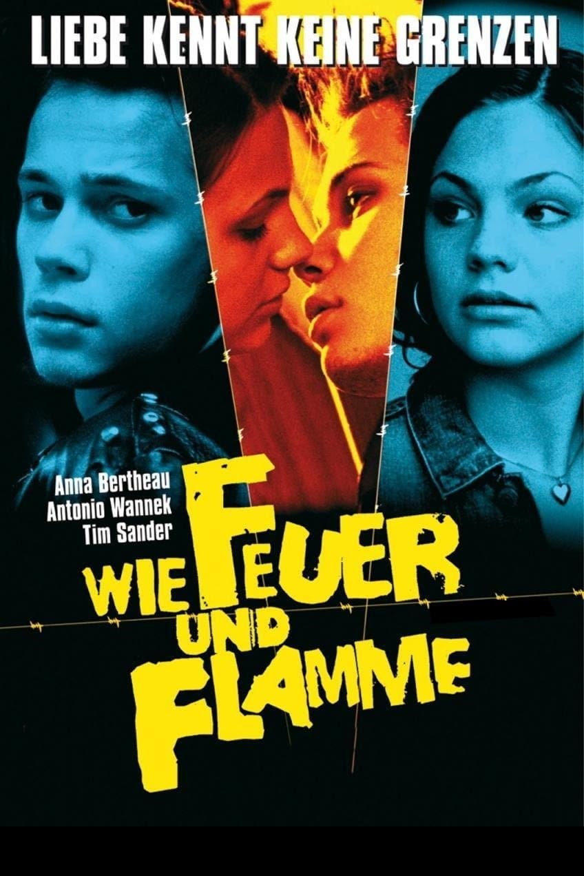 Never Mind the Wall full movie