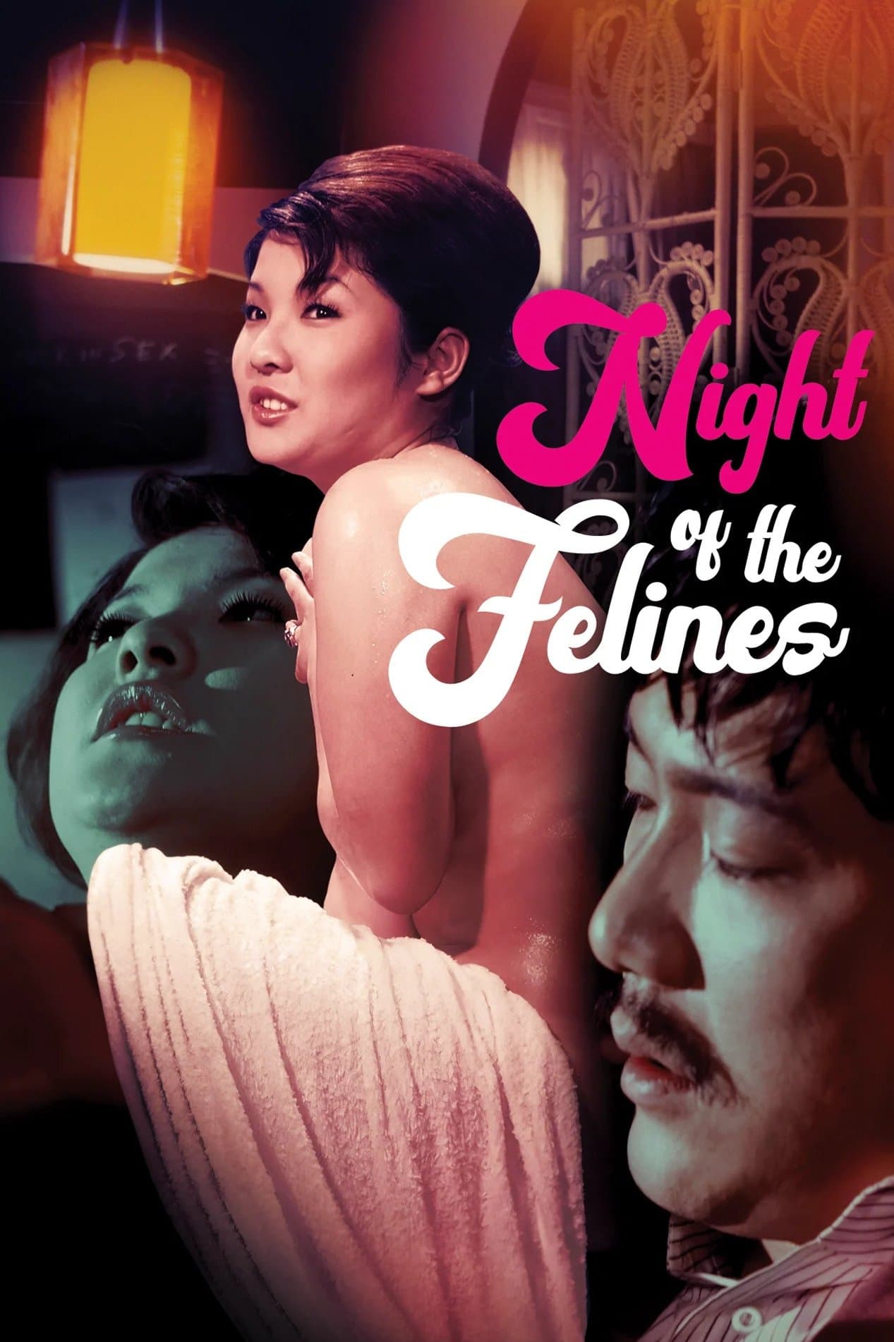 Night of the Felines full movie