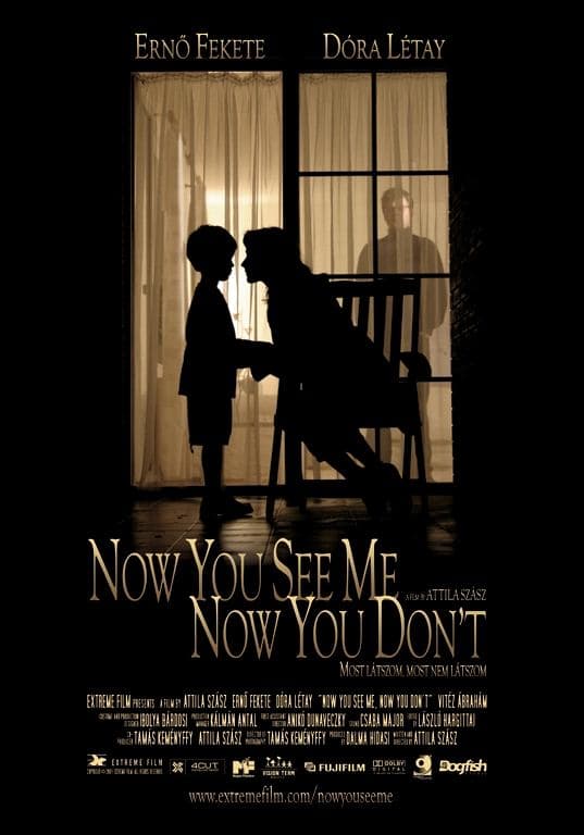 Now You See Me, Now You Don't full movie