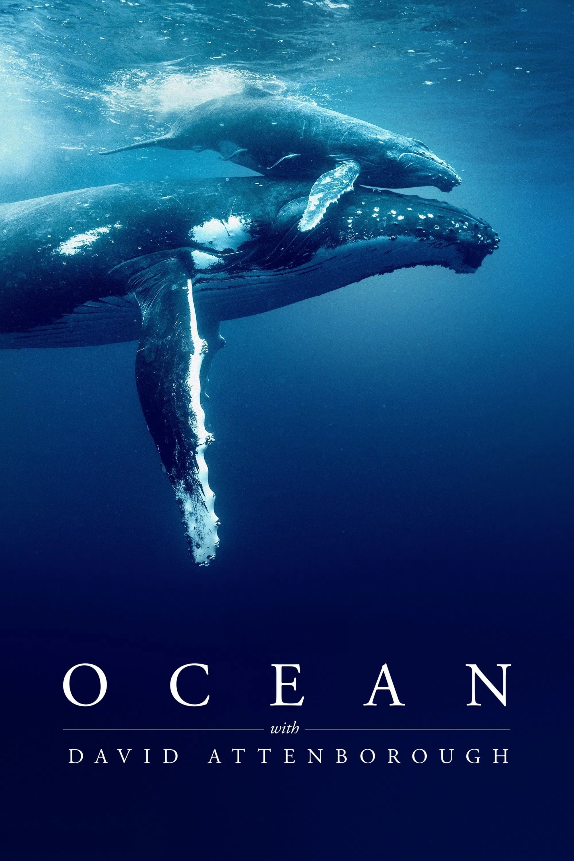 Ocean with David Attenborough full movie