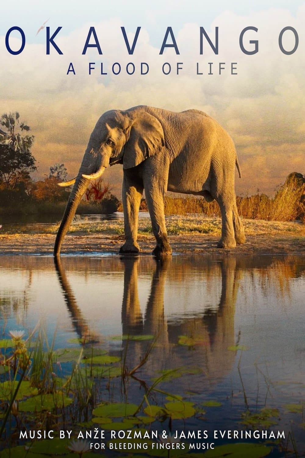 Okavango: A Flood of Life full movie