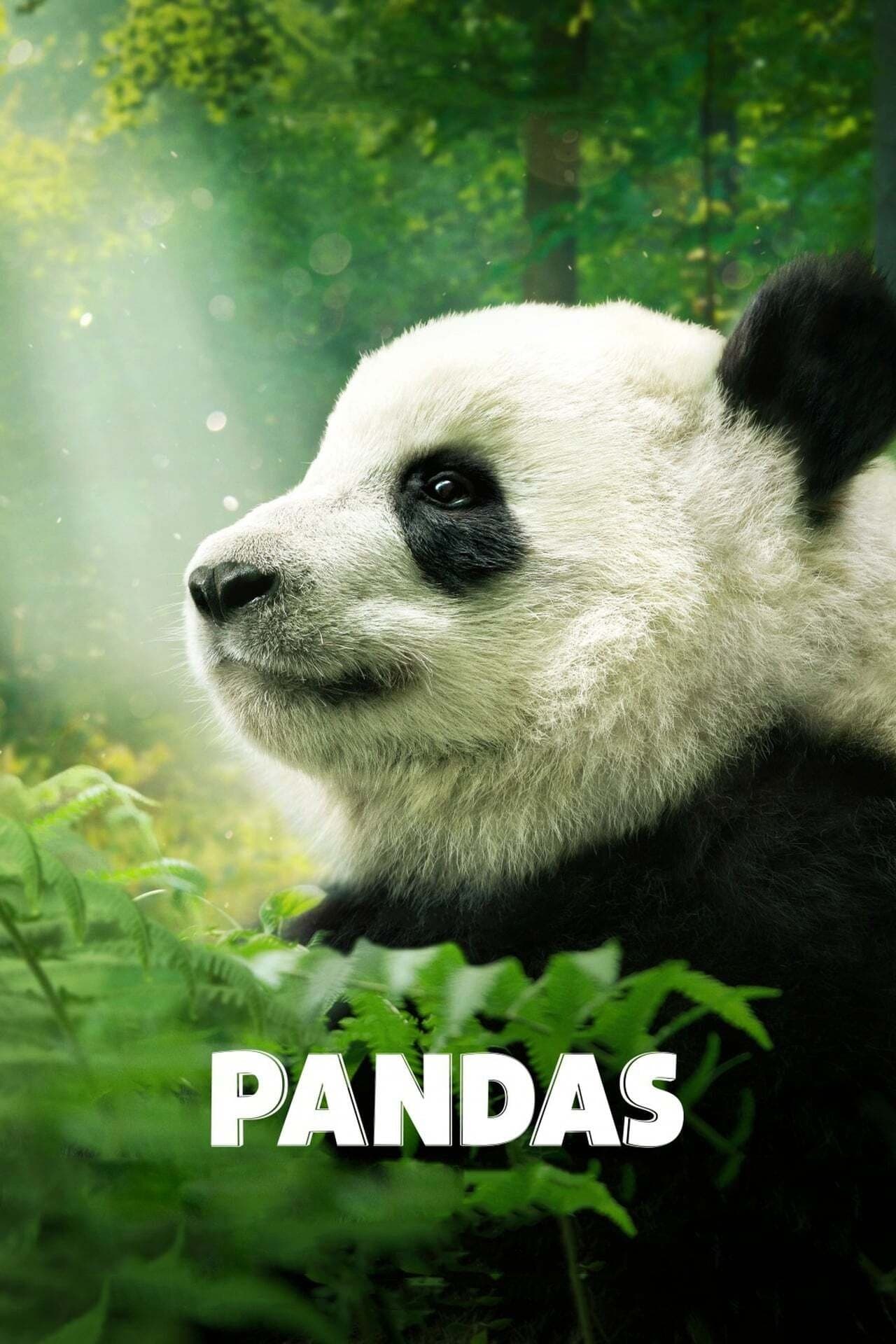 Pandas full movie